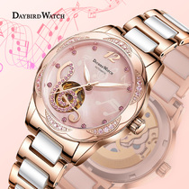 Swiss Sky King Watch Lady Fully Automatic Mechanical Watch Waterproof Luminous Fashion Trends Brief New Womens Watch