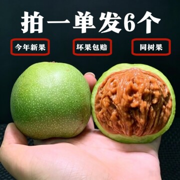 【高品質】文玩核桃 老樹赤皮山地 麒麟紋官帽 42mm 老树文玩核桃-老树文玩核桃促销价格、老树文玩核桃品牌- 淘宝