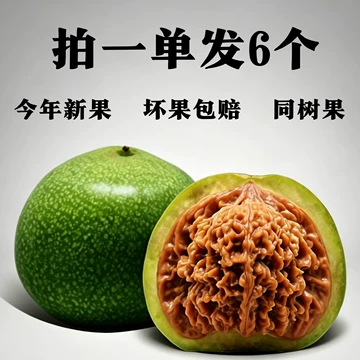 文玩核桃精品-文玩核桃精品促销价格、文玩核桃精品品牌- 淘宝