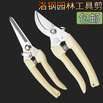 Stainless steel scissors Fruit tree pruning scissors horticultural pruning branches garden labor-saving Flower Branch shears home strong scissors