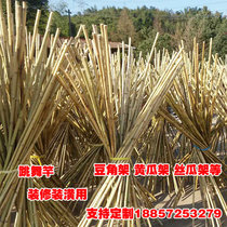Furnishing Bamboo Rod vegetable garden Thickness Hitch Fence Partition Bean Corner Bamboo Pole Dancing Bamboo Pole Dancing Bamboo Pole Embalming Lap