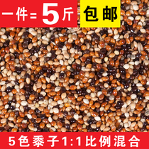 Parrot mixed grain pigeon grain 5-color mixed millet millet small parrot bird food feed tiger skin Xuanfeng peony Peony