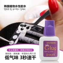 South Korea imported KOE grafting planting eyelash glue non-stimulating allergy durable 45 days Beauty Shop Super Strong