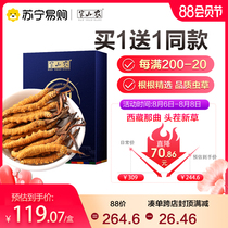 Buy 1 get 1 free) Mid-levels Agricultural Cordyceps Gift Box 5 pieces total 10 pieces Nourishing Tibetan Naqu Cordyceps Total 2g