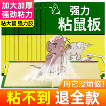 Mouse sticker powerful stick mouse plate ultra large powerful adhesive Large mouse Rats Mousetrap Mucus plate to catch and kill mouse 2563