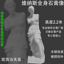 Venus plaster statue 2 2 m Venus whole body plaster statue 2 2 m Venus plaster sculpture decoration