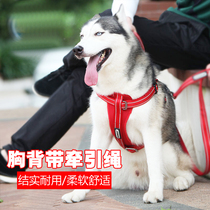Donis dog leash harness pet leash golden hair medium dog big dog husky supplies