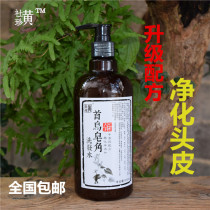 Huang Shizhen Natural Shouwu Saponicang Liquid Shampoo Sovening Seed Tea Seed Powder Enzyme Anti-itching and Anti-itching and Dangling Control Oil