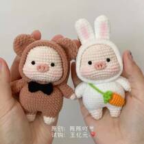 Pig Pig Paradise 5 Models 664 Handmade Diy Crochet Wool Thread Weave Tutorial Doll Electronic Illustration Unfinished Product New