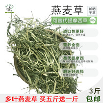  Oat grass hay 500g Pet forage instead of Timothys main food Rabbit Guinea pig Chinchilla Hamster