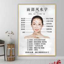 Facial Feng Shui painting KT plate beauty salon medical beauty plastic facial wrinkles wrinkle wrinkle poster anti-aging wall stickers