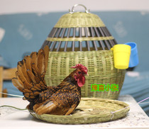 Chicken media cage entry version flat head chicken cage 42 thick colorful pheasant breeding chicken cage Bamboo pet chicken cage viewing