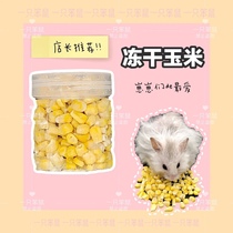 (a stupid rat) hamster golden bear chipstick nutrition long meat snacks freeze-dried corn