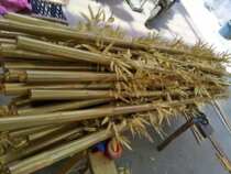 Golden simulation bamboo golden bamboo wedding rich bamboo Chinese wedding bamboo decorative bamboo golden bamboo leaf partition