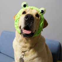 Pet selling cute cute headgear hat dog Golden Labrador Corky medium and large dog headdress dress up hat