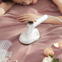 Bear hanging ironing machine household steam small ironing machine high power