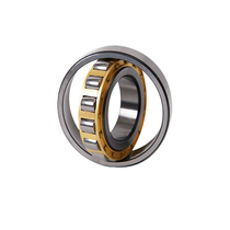 FAG Bearings 20204 20205 20206 20207 20208 20209 T K TVP MB