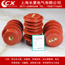 CG5-10Q CG5-12Q 95*140 Indoor high voltage live display device Sensor CG101-12Q