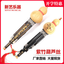Xinyi Zizhu Hulusi Musical Instruments Beginners Primary and Secondary School Students Adult Children B- flat c Tuning into the door Self-taught Musical Instruments