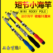 Mini small sea pole super hard long-distance sea pole special clearance short throw Rod sea sea fishing rod Rocky Luya Rod set