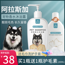 Pet dog Alaskan white hair special sterilization deodorization flea killing long-lasting fragrance bathing dog shower gel