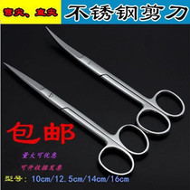 Shanghai made scissors stainless steel belt scissors straight Tip Tip tip tissue eye surgery scissors