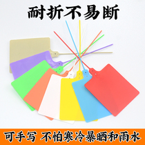Disposable plastic seal Logistics hanging tag tag Express logistics warehouse label Product card anti-theft buckle dropped bag