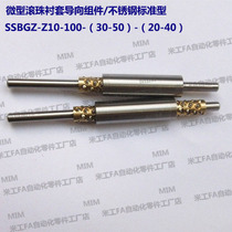 SSBGZ-Z10-100-(30-50)-(20-40) Miniature Ball Bushing Guide Assembly