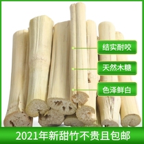 21 21 years rabbit dragon cat guinea pig high fiber grindroe bite wood sweet bamboo rabbit grindroe stick 500g instead of apple branches