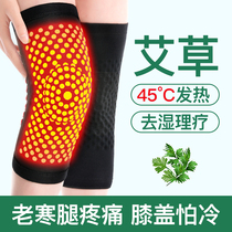 Wormwood knee cover sheath warm old cold leg hot paint joint fever male Lady old cold autumn winter thickening