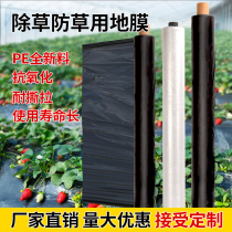 Black film weeding film for agricultural thickening black film greenhouse vegetable Orchard heat preservation and moisturizing white film silver black reflective film