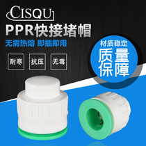 Household water pipe quick connector PPR quick plug plug-free hot melt plug plug cap 4 minutes 6 minutes 1 inch cap accessories