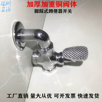 Toilet stool squatting toilet pedal valve delay valve toilet foot Flushing Valve switch