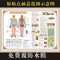 Tuina massage original point coverage schematic diagram of traditional Chinese medicine health poster Human meridian acupoint map Large wall chart