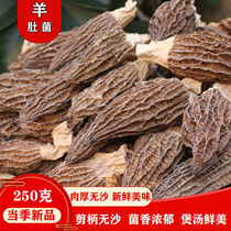 Yunnan Goat Belly Fungus Dry Cargo Special Produce Fresh Special Class Wild Fungus Mushroom Pine Furry Nutrition Saucepan of Soup Ingredients 250g