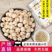 Kawabe sulphur-free Sichuan fritillary natural sundry natural color Pingbei Powder Pediatric Cough 500 gr bottled