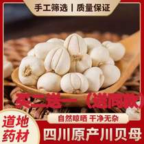 Sichuan Baia Dam State Sichuan Fritillary Sichuan Bay Powder 20 gr No sulphur Chinese herbal medicine Non-specific wild autumn pear paste Kawasawa Bei