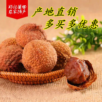 Putian farmer specialty new dry lychee skin thin core small meat thick 500g non-smoked sulfur dried lychee Fujian