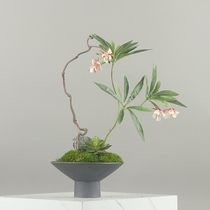 Chinese-style Japanese-style Ohara ikebana flower arrangement simulation green plant immortalized moss tea room tea space B&B model room