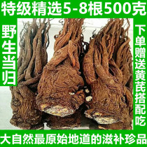 Selected wild angelica 500 grams of new cut wild angelica slices soaked in water Pure natural premium angelica slices