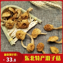 Northeast specialty of mushroom dried goods 500g small yellow grind mushroom wild mushroom chicken stewed mushroom