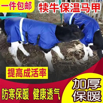 Calf vest cold and warm clothing calf disease-resistant cotton-padded jacket cattle farm calf calf
