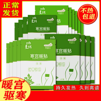 Warm paste treasure paste self-heating Wormwood warm Palace paste Palace cold conditioning Big Aunt paste female waist and abdomen winter 100 pieces