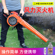 Gasoline hair dryer Forest fire portable wind fire extinguisher High-power road leaf cleaning greenhouse snow blower