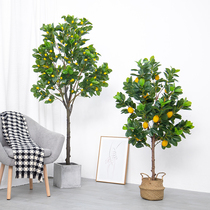 Nordic large-scale simulation lemon tree orange tree interior decoration green plant bonsai fake flower home decoration floor-to-ceiling fake tree