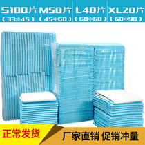 Dog Nappies s100 Thickened deodorant size Dog Nappies Diapers Teddy Nappies Non-wet Pet Nappies Dog Supplies