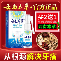 Yunnan Materia Medica Toothache Ning Spray Toothache Medicine Pain Medicine Quick-acting Toothache Spray Gingival Swell Pain