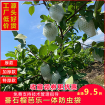 Mesh bag set Barbag guava Pomegranate Anti-Bug Bag Fruit Bag Set Fruit Protection Bag Thickened Special Anti-Bug Bagging Bag