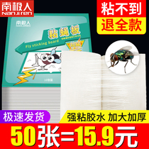 Antarctic fly sticker strong sticky fly board killer capture artifact sticky mosquito fly trap swept away household