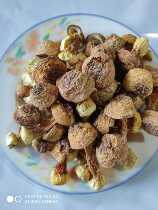 Farmhouse specialty self-picking white mushroom Super Yunnan Agaricus matsutake dried goods Hime pine fungus fine picking Brazil mushroom 500g
